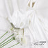 Pack Of 2 Japanese Boski 6 Pound Off White & Cream